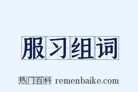 服习组词是什么意思的图片
